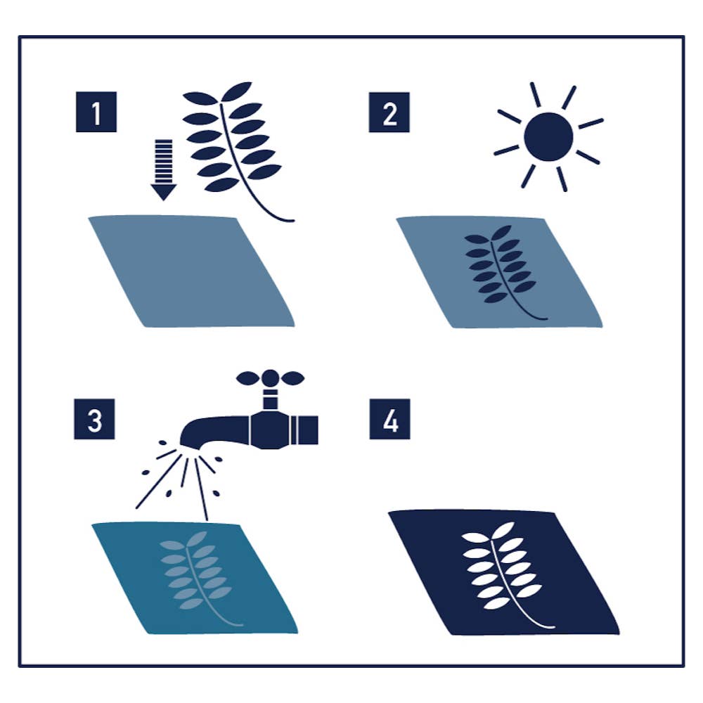 Sunography - Colour Cards Beginner Cyanotype Kit - All Good Things