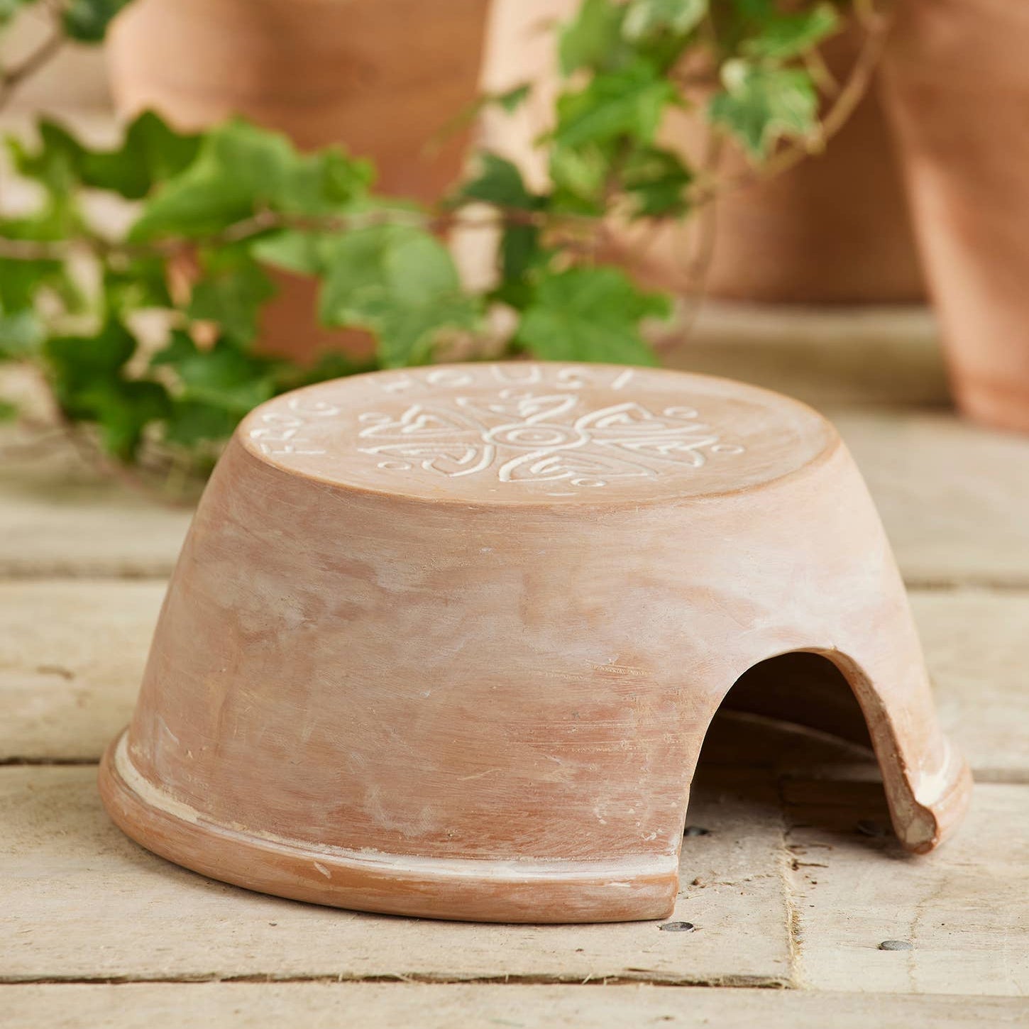 Terracotta Frog and Toad House | Natural Slug and Snail Pest Control - All Good Things