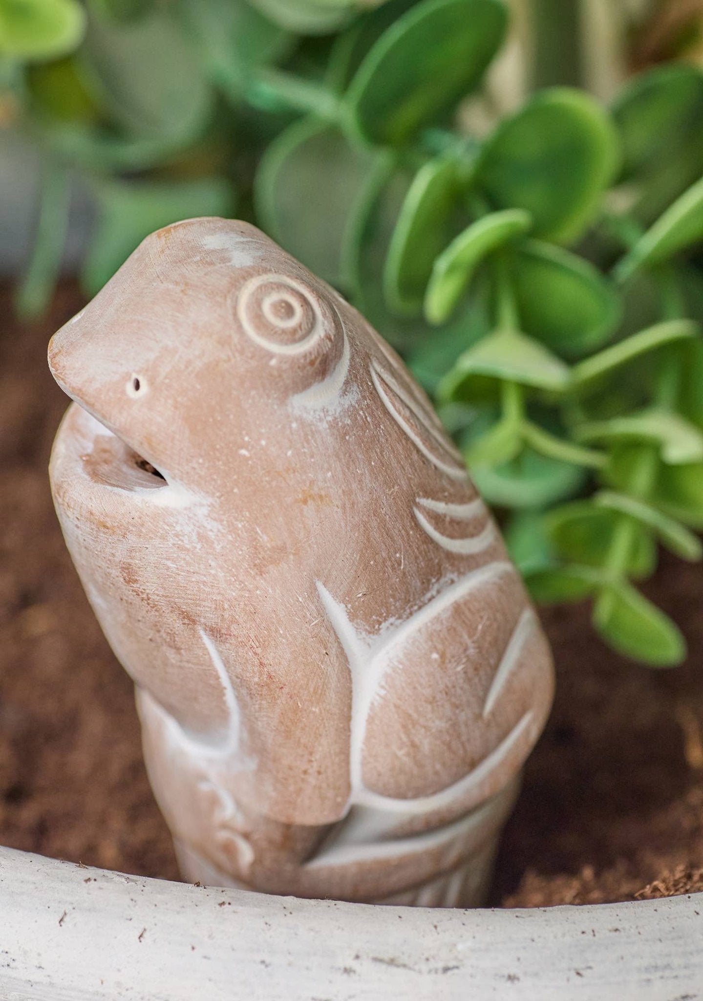 Terracotta Frog Plant Watering Spike - All Good Things